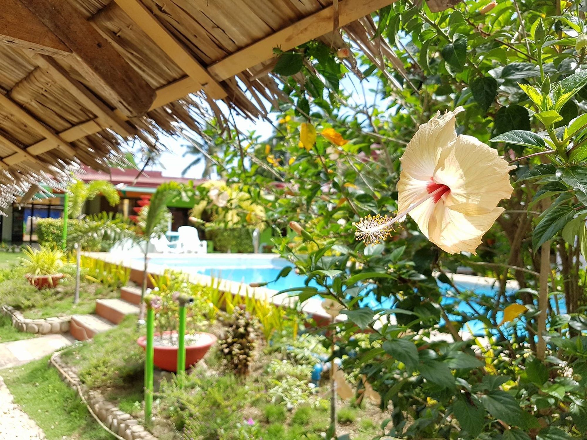 Green Park Tourist Inn Puerto Princesa Eksteriør bilde